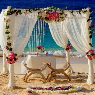 Chuppah.4